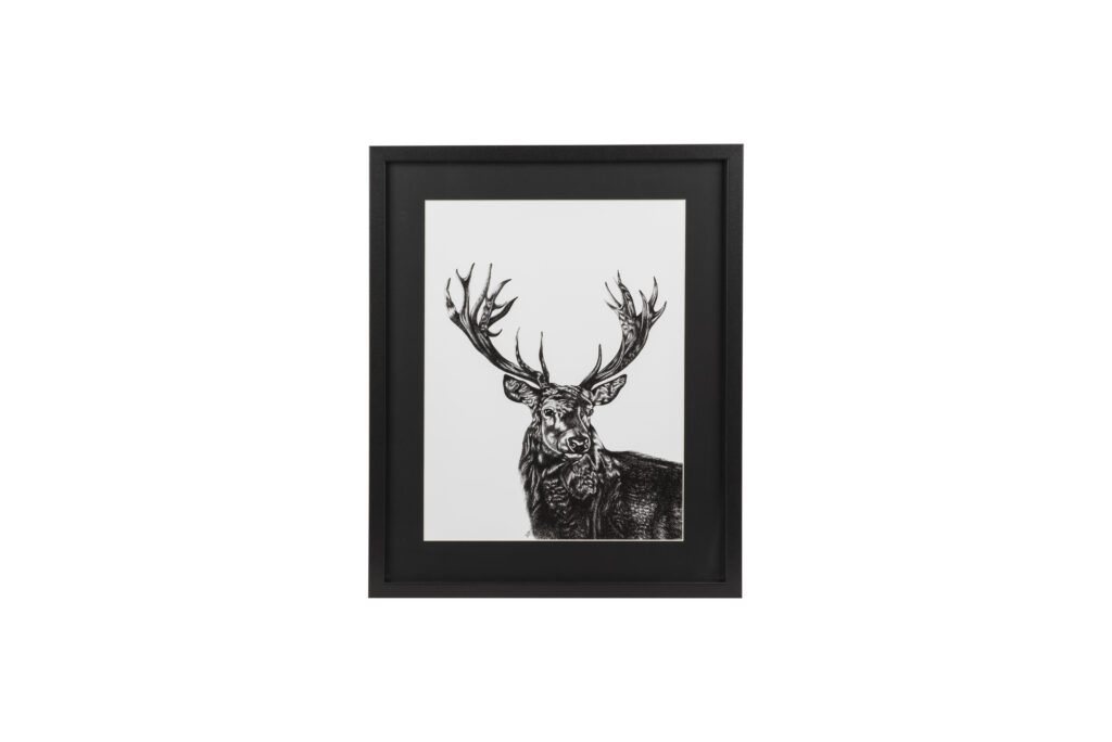 framed print of stag